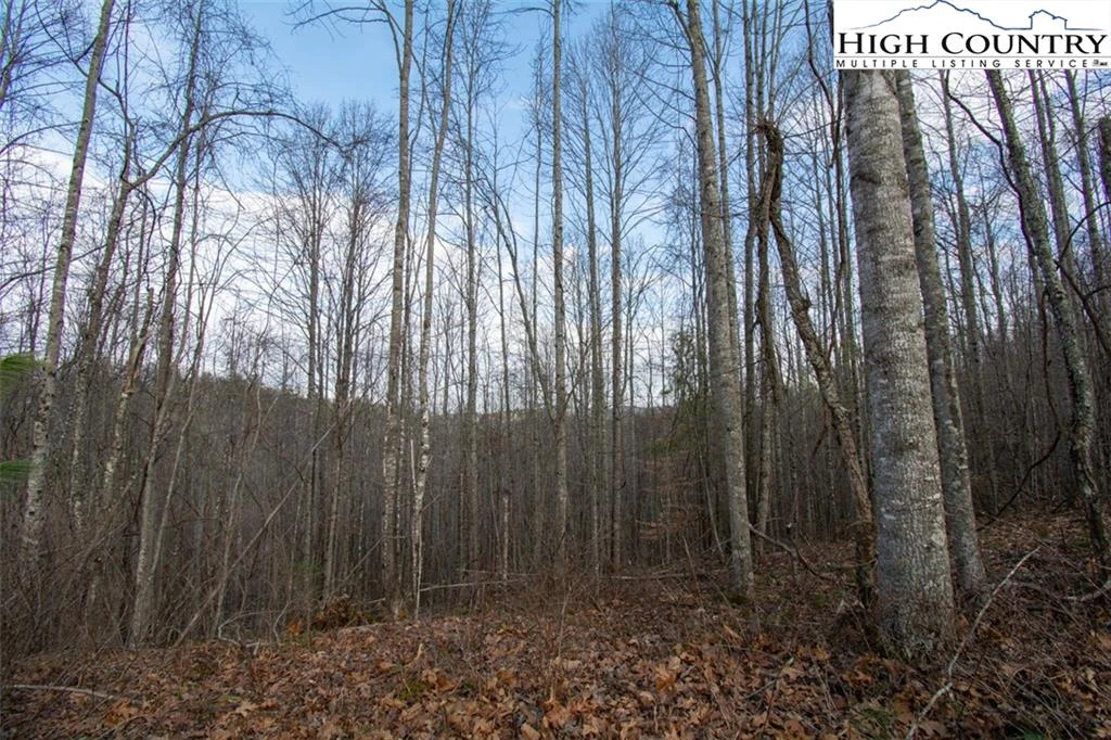 Image number 7 for the current listing