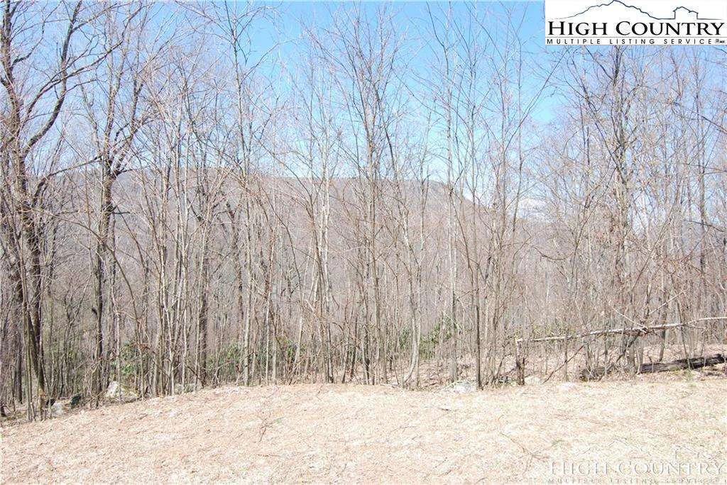 Image number 4 for the current listing