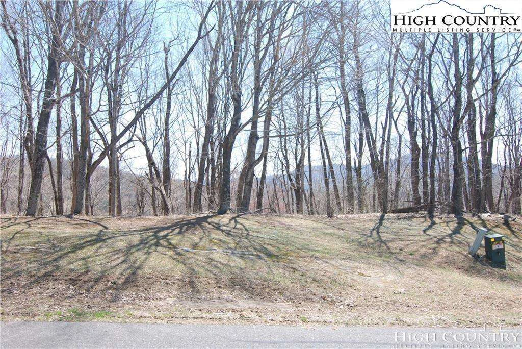 Image number 5 for the current listing