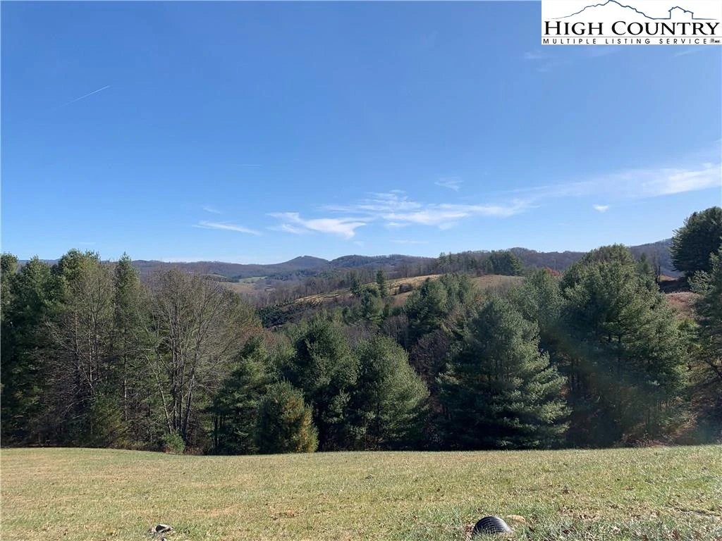 Image number 1 for the current listing
