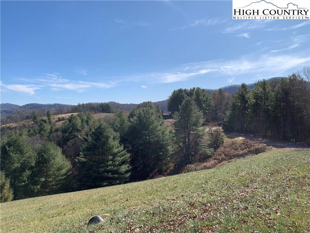 Image number 14 for the current listing