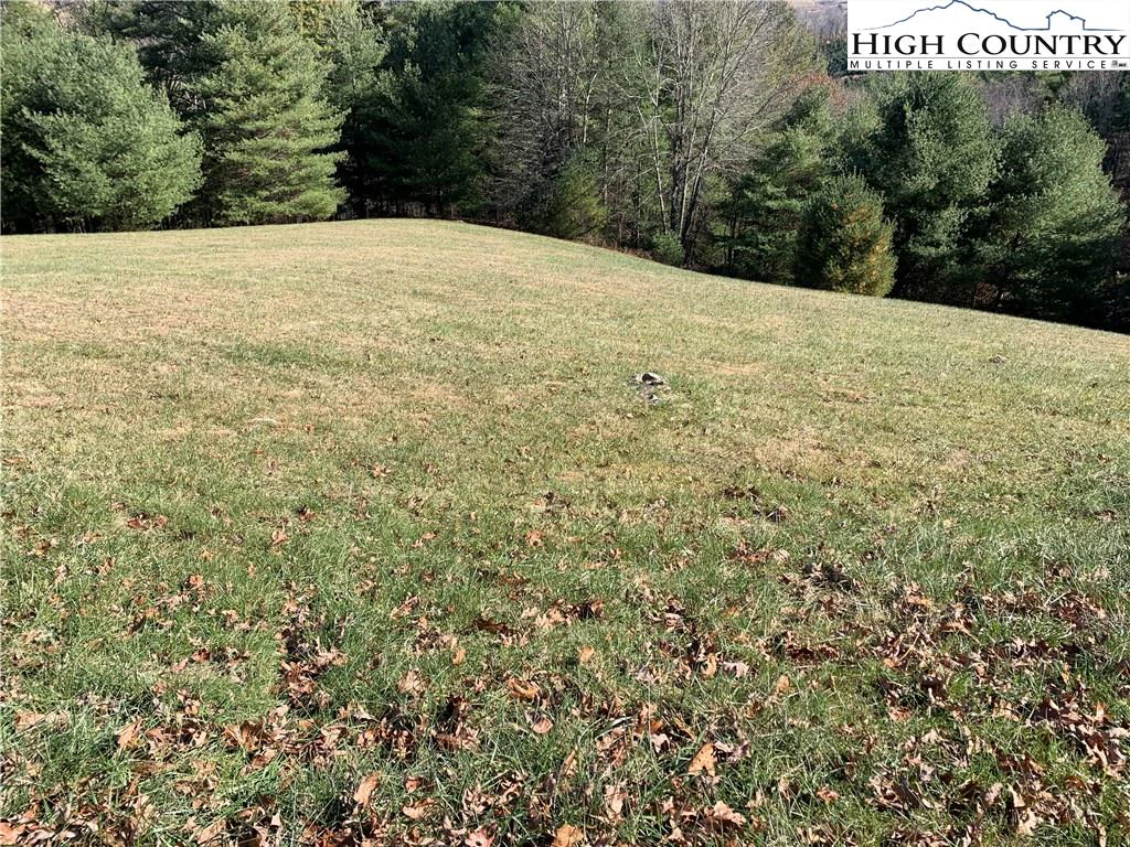 Image number 12 for the current listing