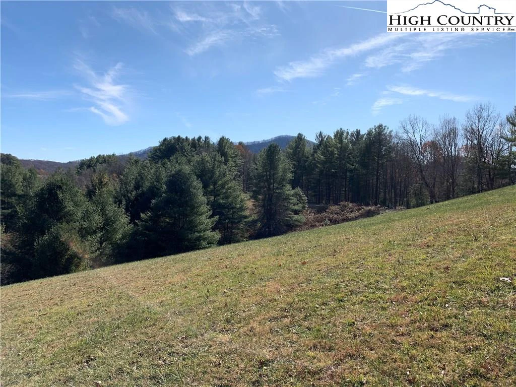 Image number 11 for the current listing