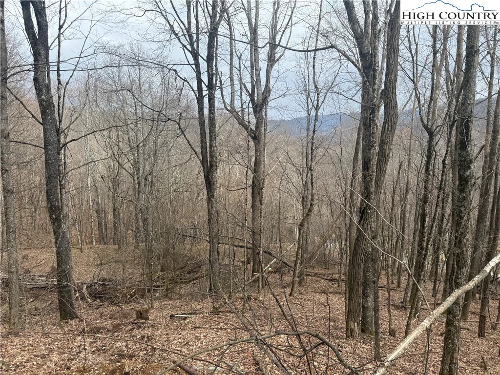 Image number 1 for the current listing