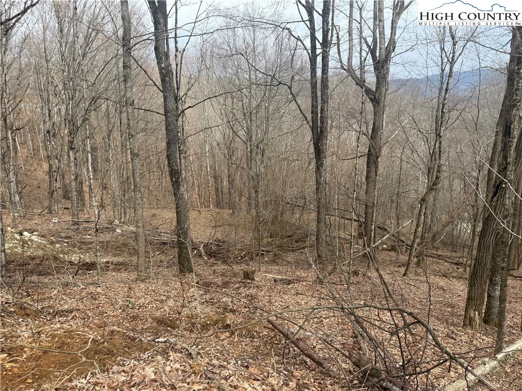 Image number 3 for the current listing