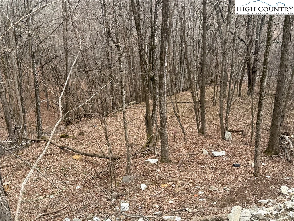 Image number 5 for the current listing
