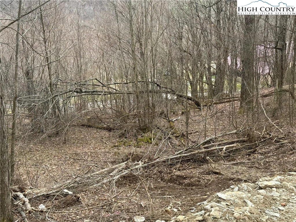 Image number 6 for the current listing