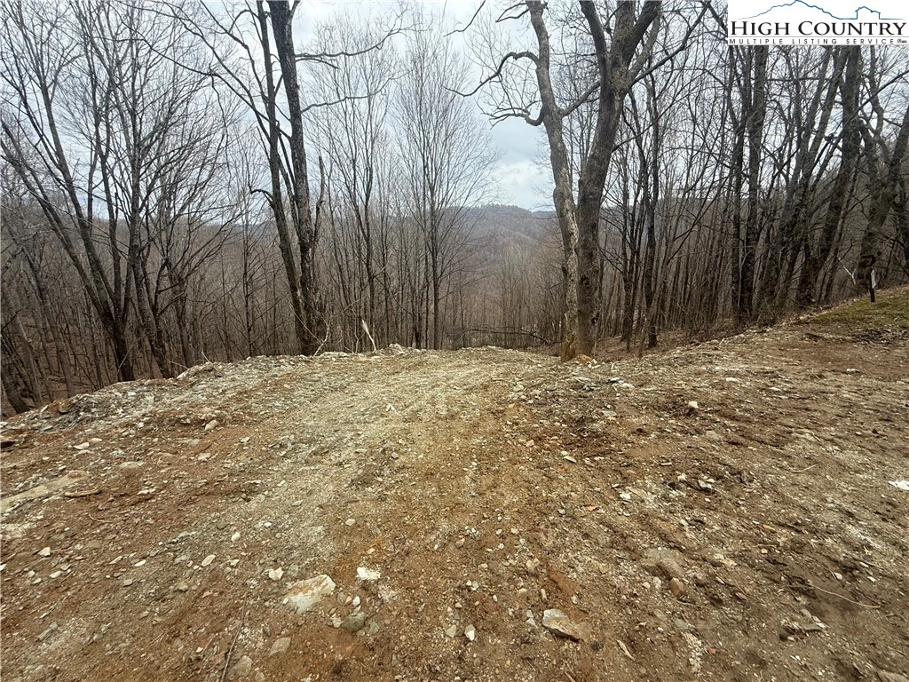 Image number 9 for the current listing