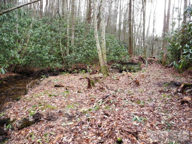 Image number 6 for the current listing