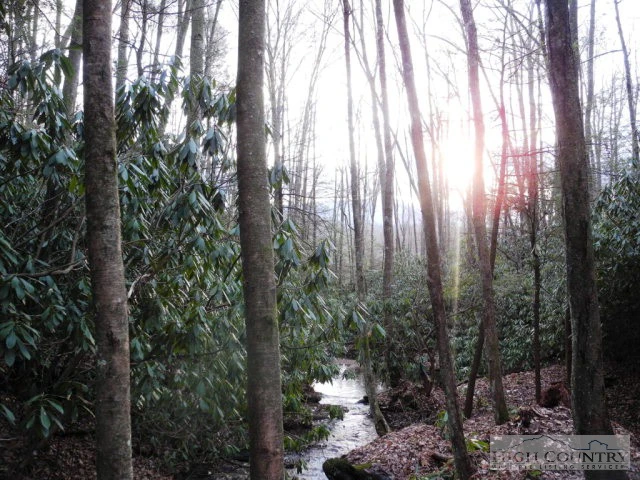 Image number 5 for the current listing