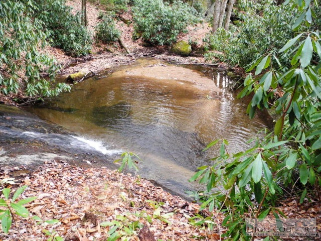 Image number 4 for the current listing
