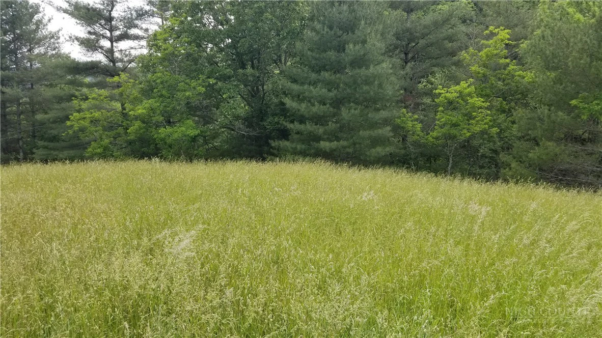Image number 2 for the current listing