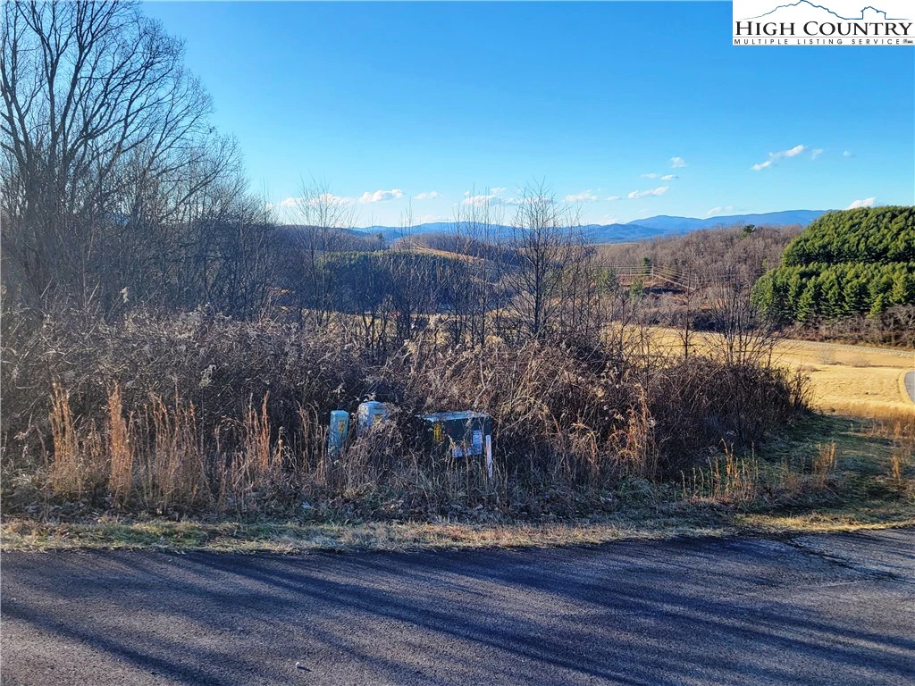 Image number 1 for the current listing