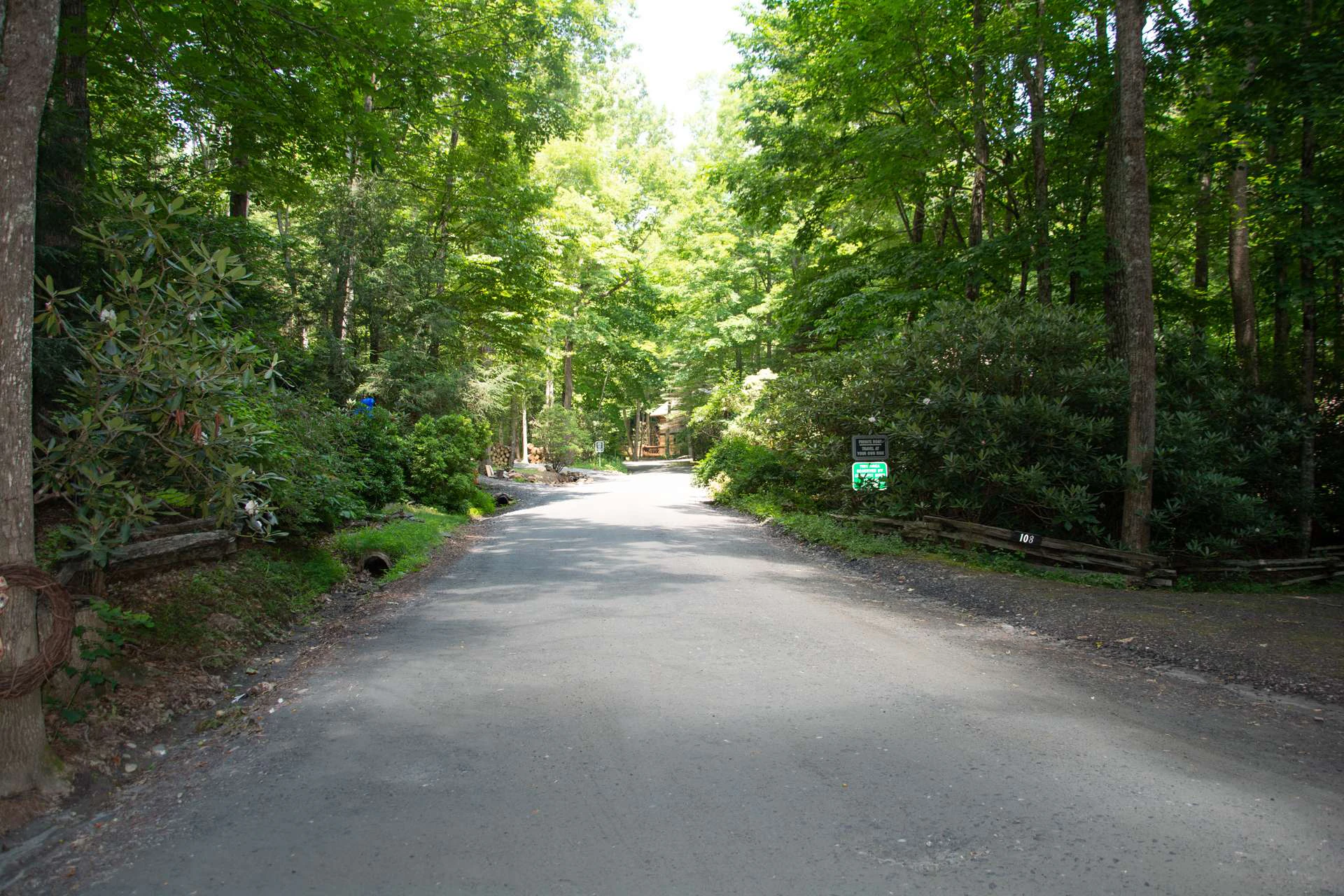 Image number 3 for the current listing