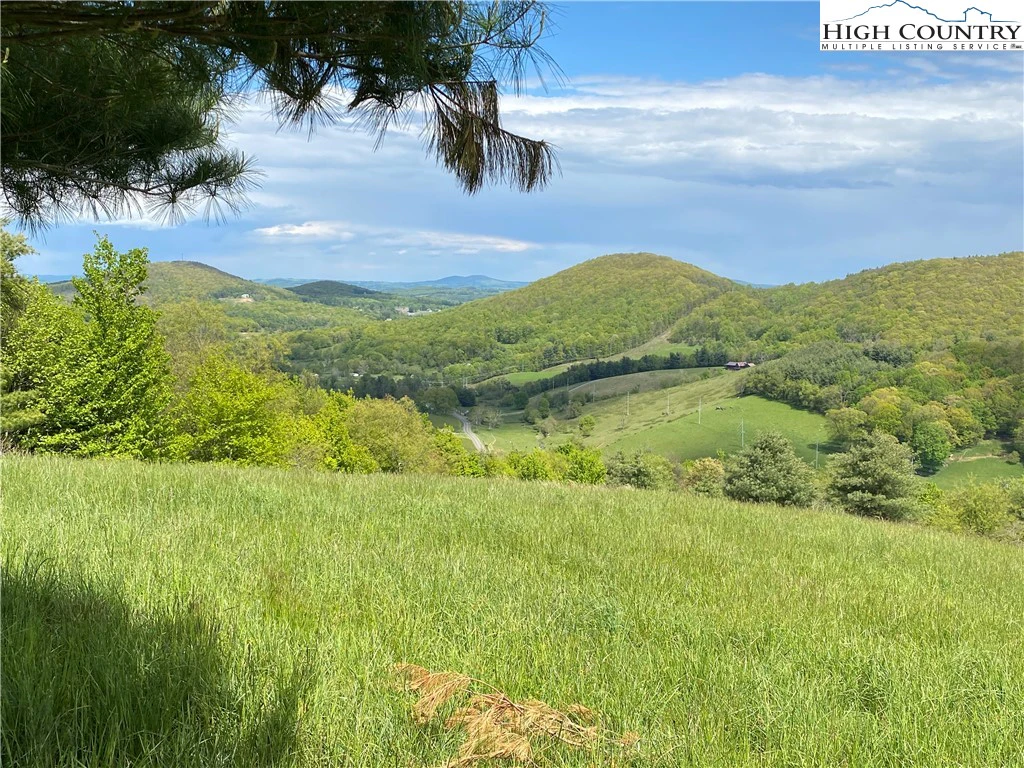 Image number 4 for the current listing