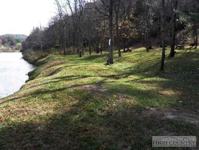 Image number 12 for the current listing