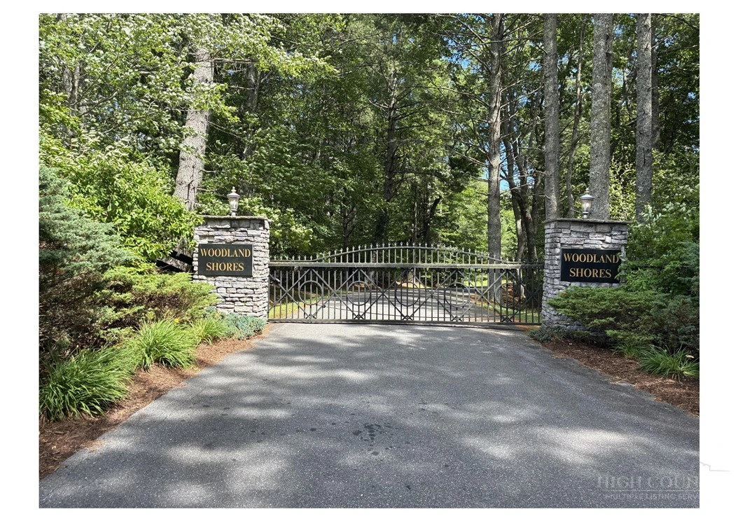Image number 1 for the current listing