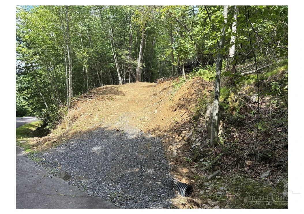 Image number 2 for the current listing