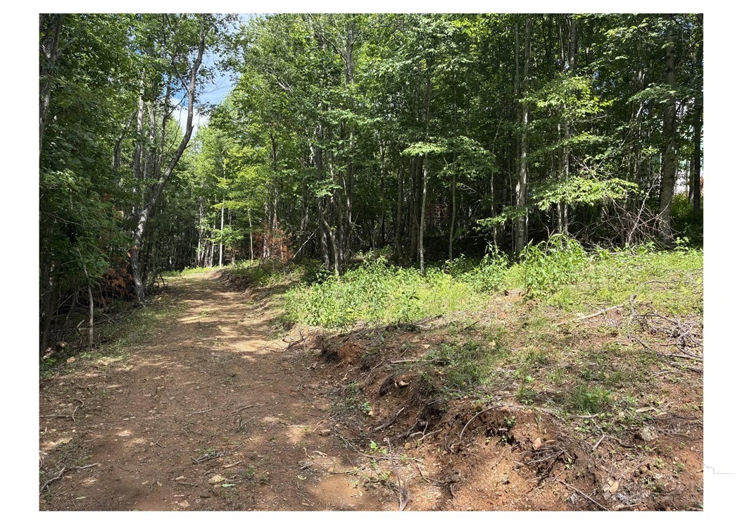 Image number 3 for the current listing