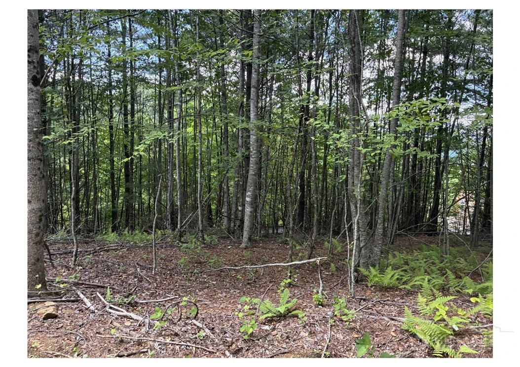 Image number 5 for the current listing