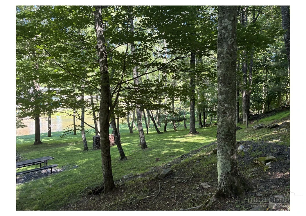 Image number 10 for the current listing