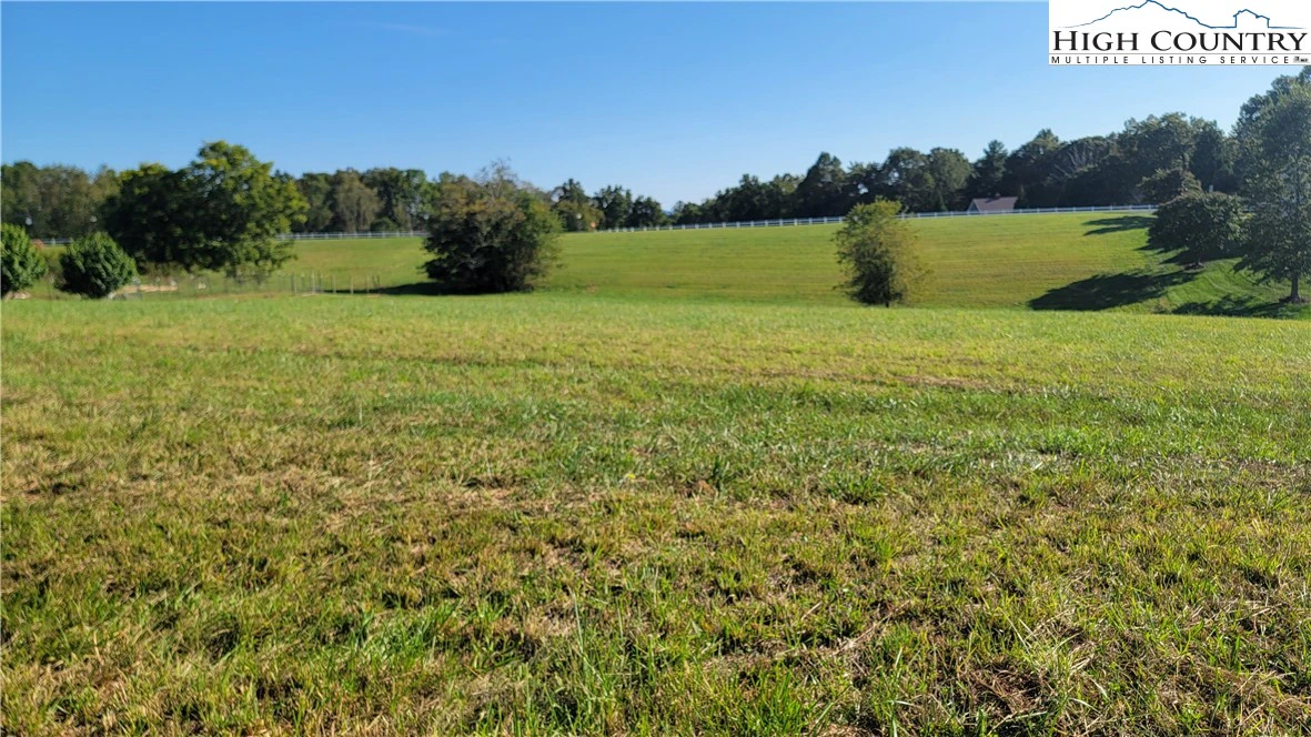 Image number 1 for the current listing
