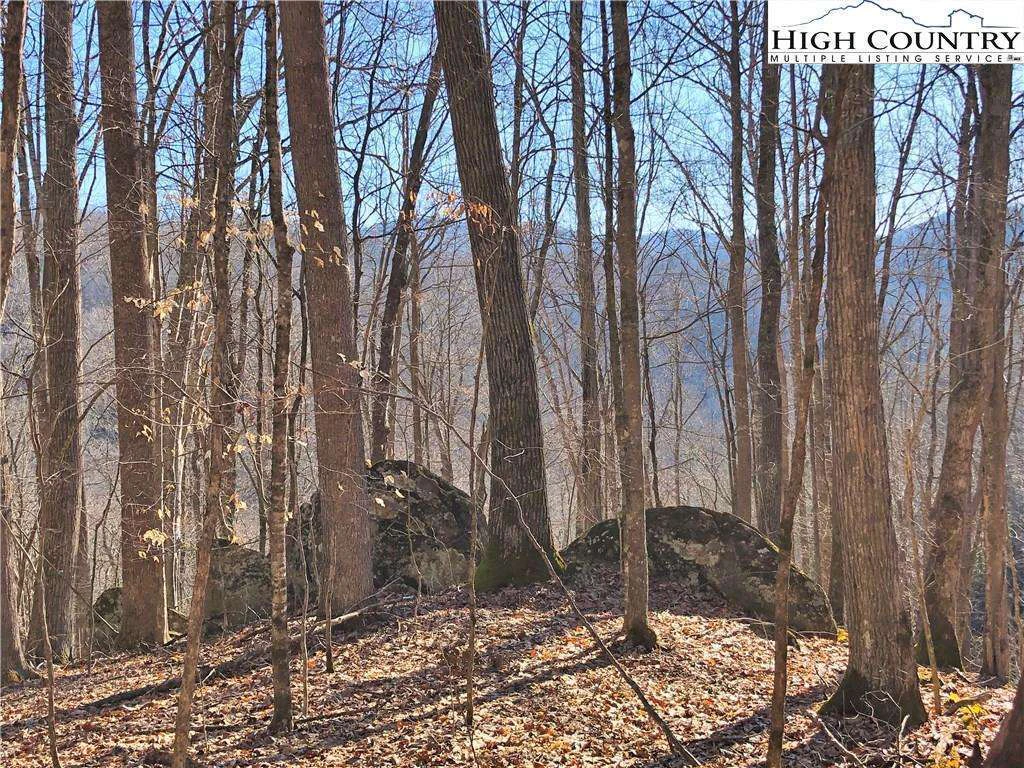 Image number 1 for the current listing