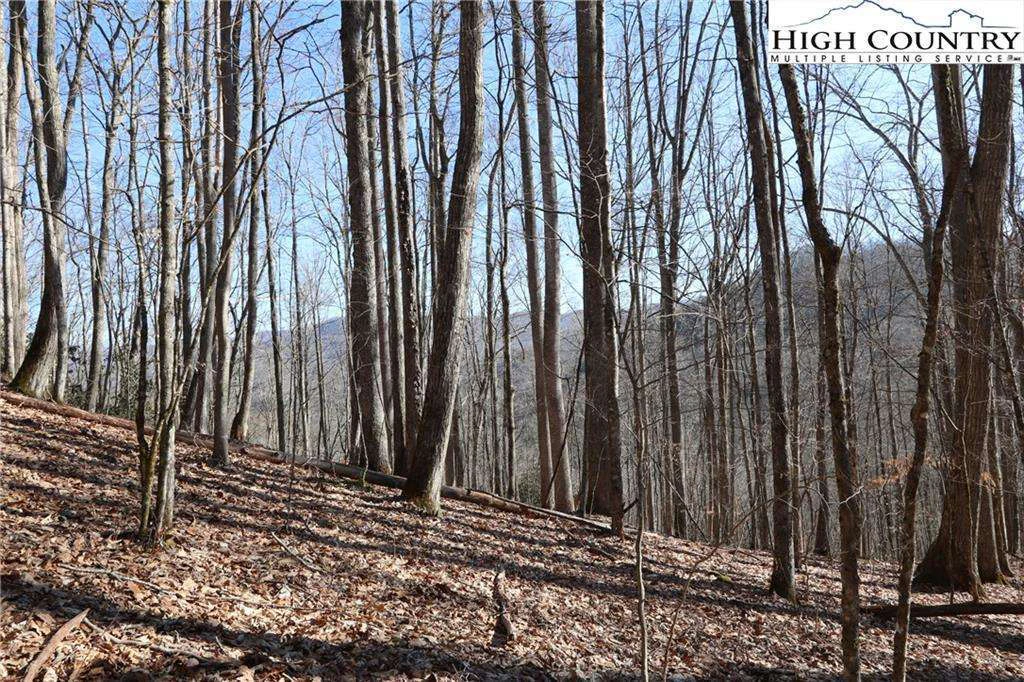 Image number 2 for the current listing