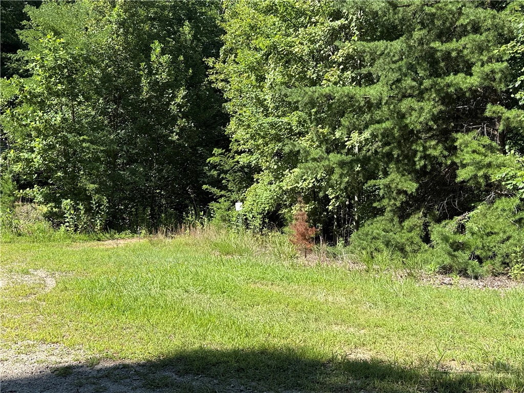 Image number 6 for the current listing