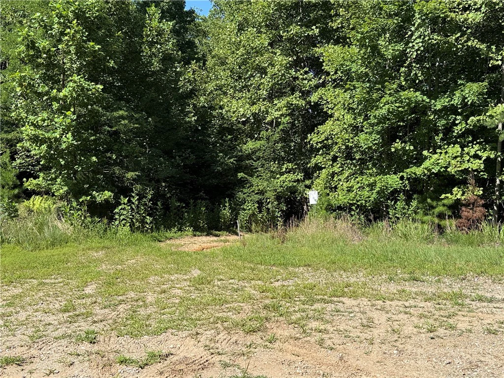 Image number 1 for the current listing