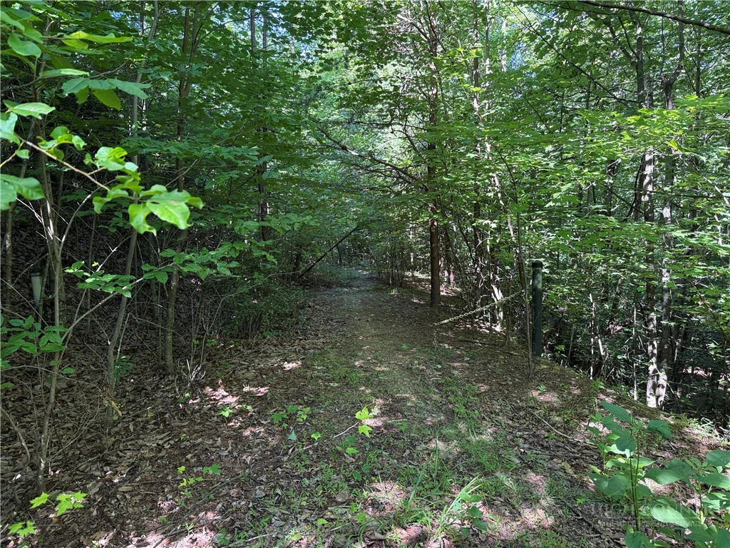 Image number 2 for the current listing