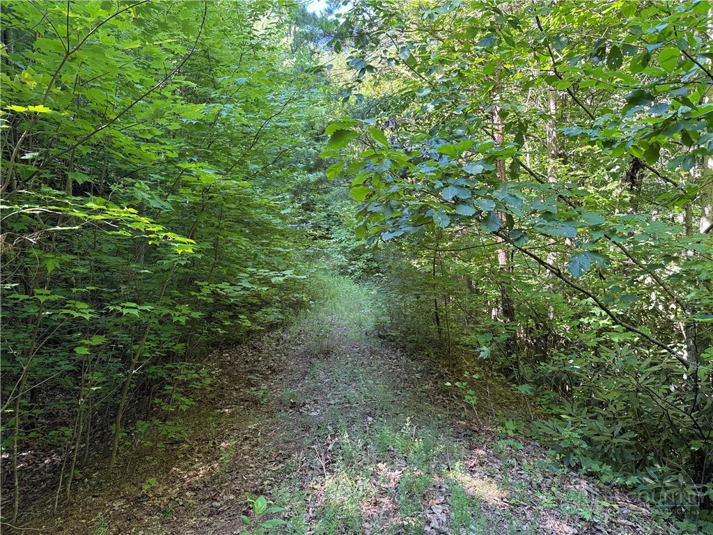Image number 4 for the current listing