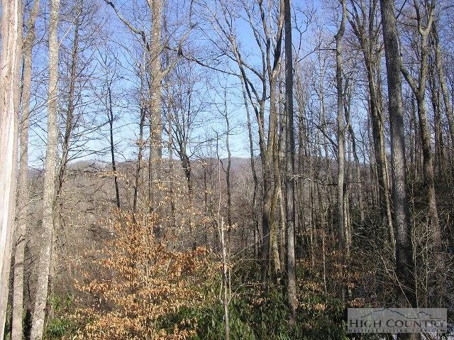 Image number 1 for the current listing