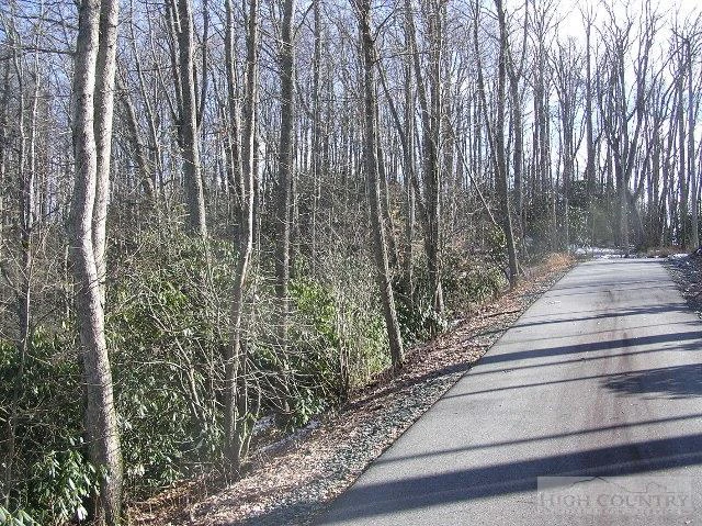 Image number 7 for the current listing