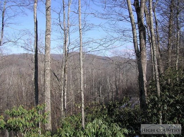 Image number 8 for the current listing