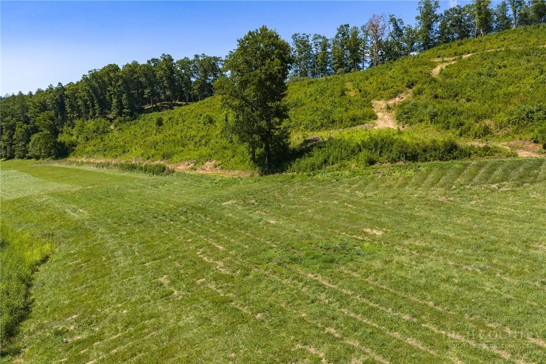 Image number 7 for the current listing