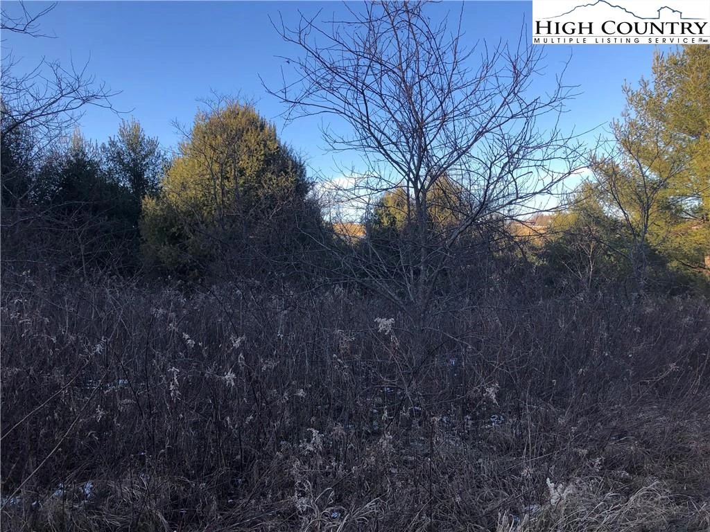 Image number 1 for the current listing