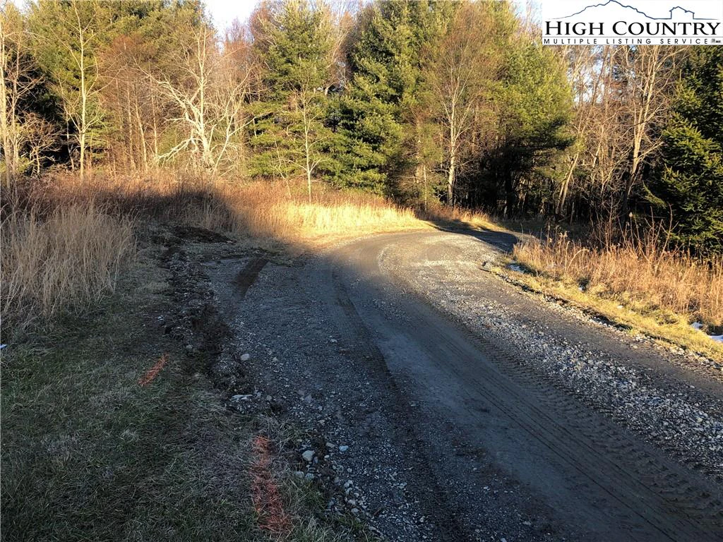 Image number 3 for the current listing
