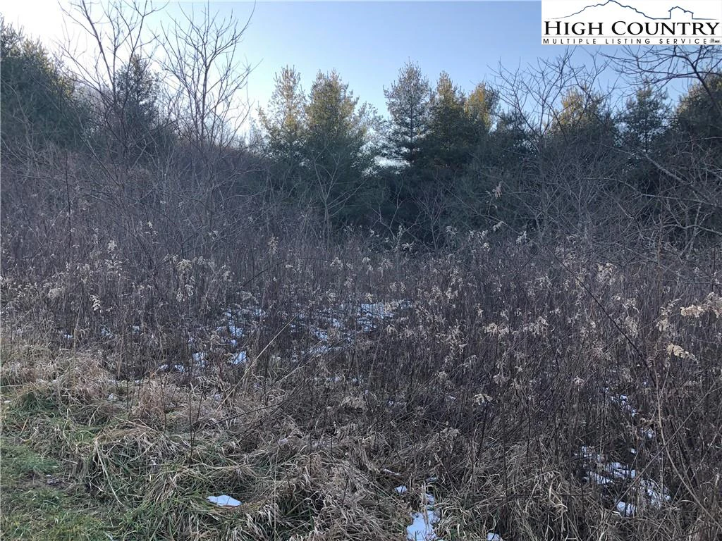 Image number 4 for the current listing