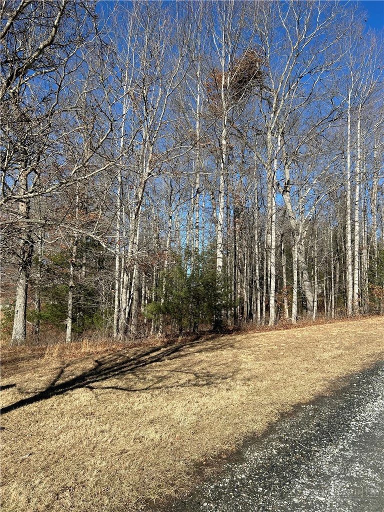 Image number 1 for the current listing
