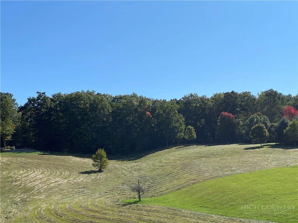 Image number 2 for the current listing