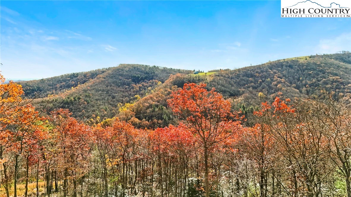 Image number 11 for the current listing
