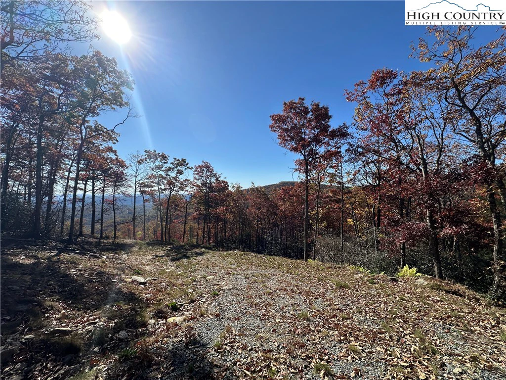 Image number 3 for the current listing