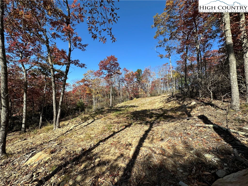 Image number 4 for the current listing