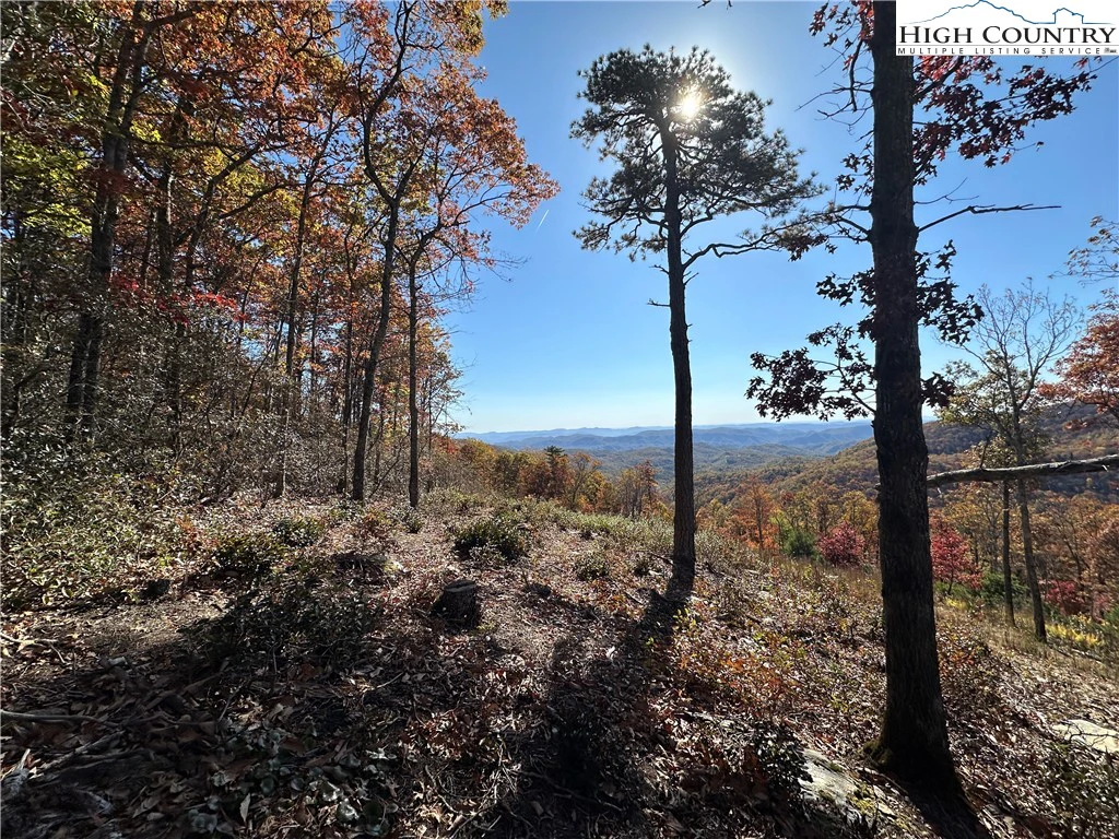 Image number 6 for the current listing