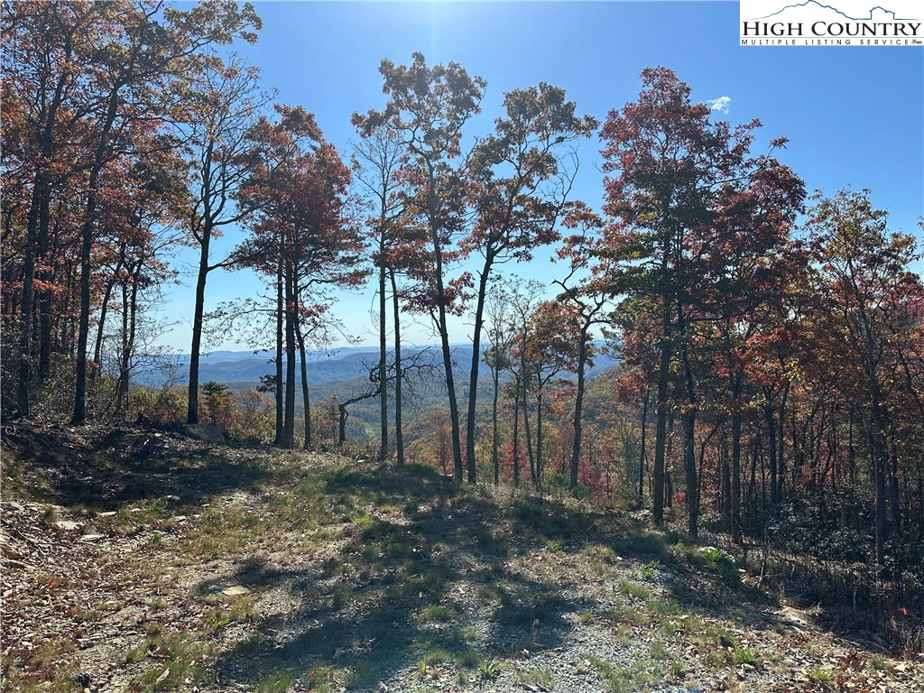 Image number 7 for the current listing