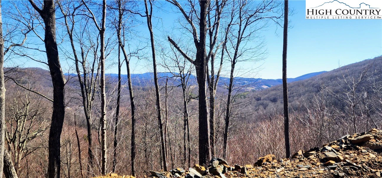 Image number 1 for the current listing