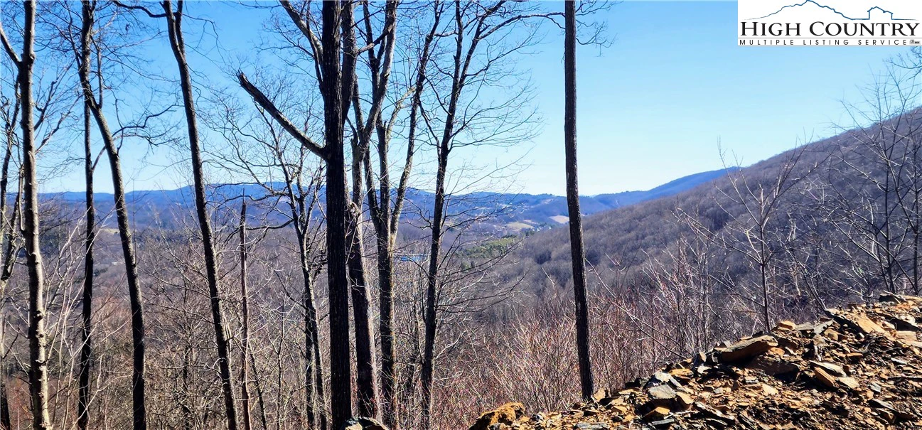 Image number 4 for the current listing