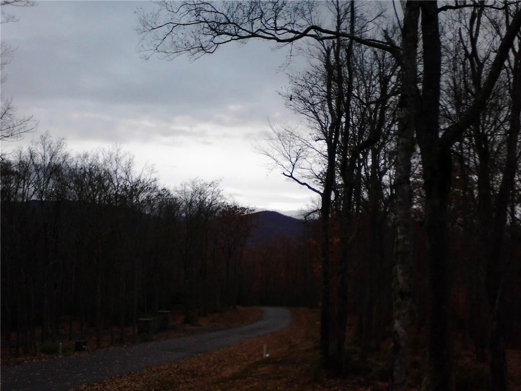 Image number 14 for the current listing