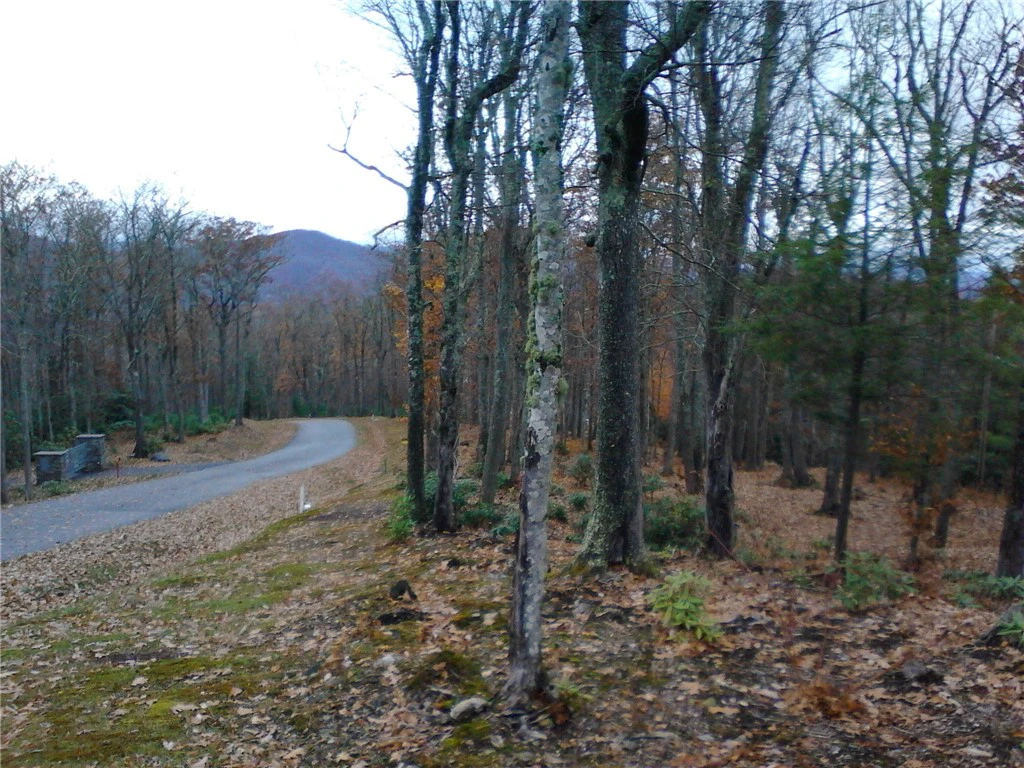 Image number 13 for the current listing